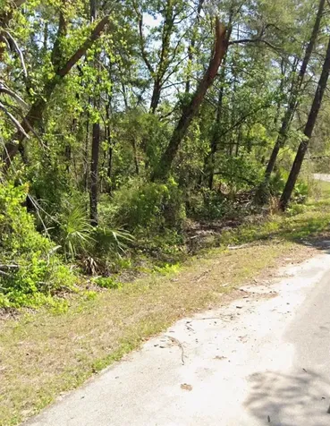 Tbd Fisher Court Ocklawaha FL 32179