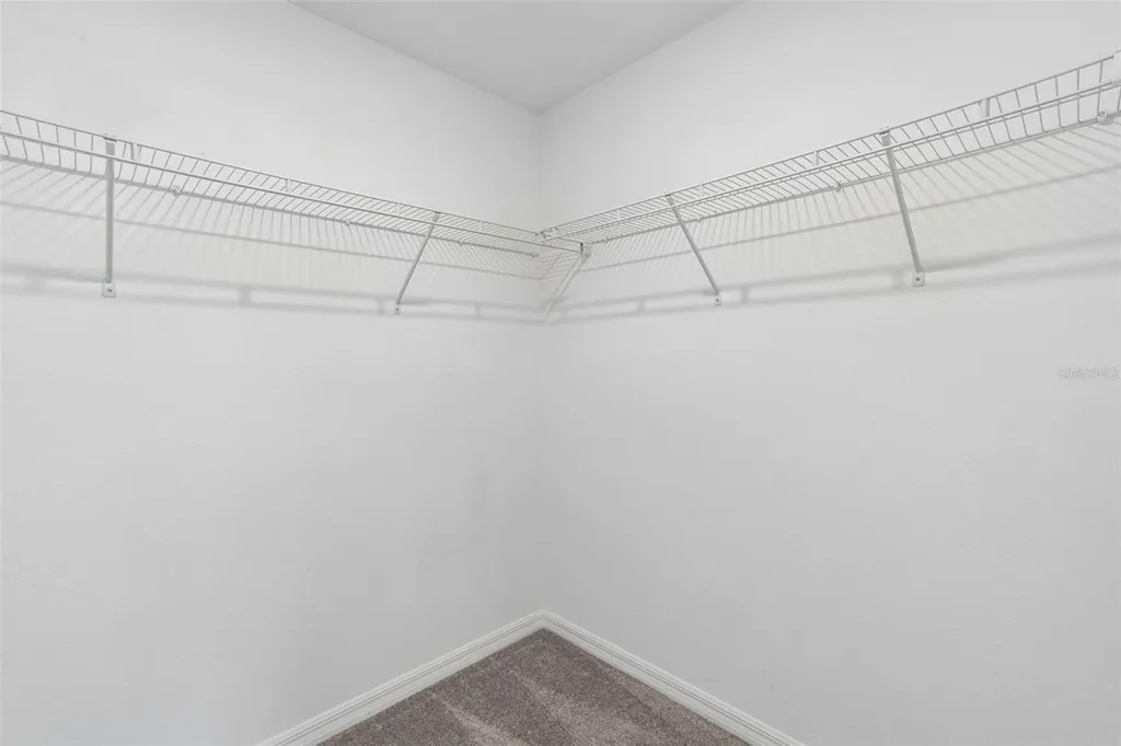 4436 Tuscan Loon Drive Tampa FL 33619