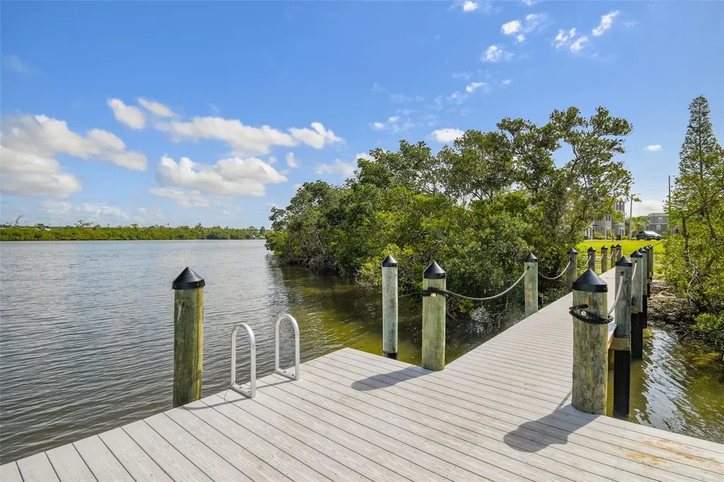 4436 Tuscan Loon Drive Tampa FL 33619