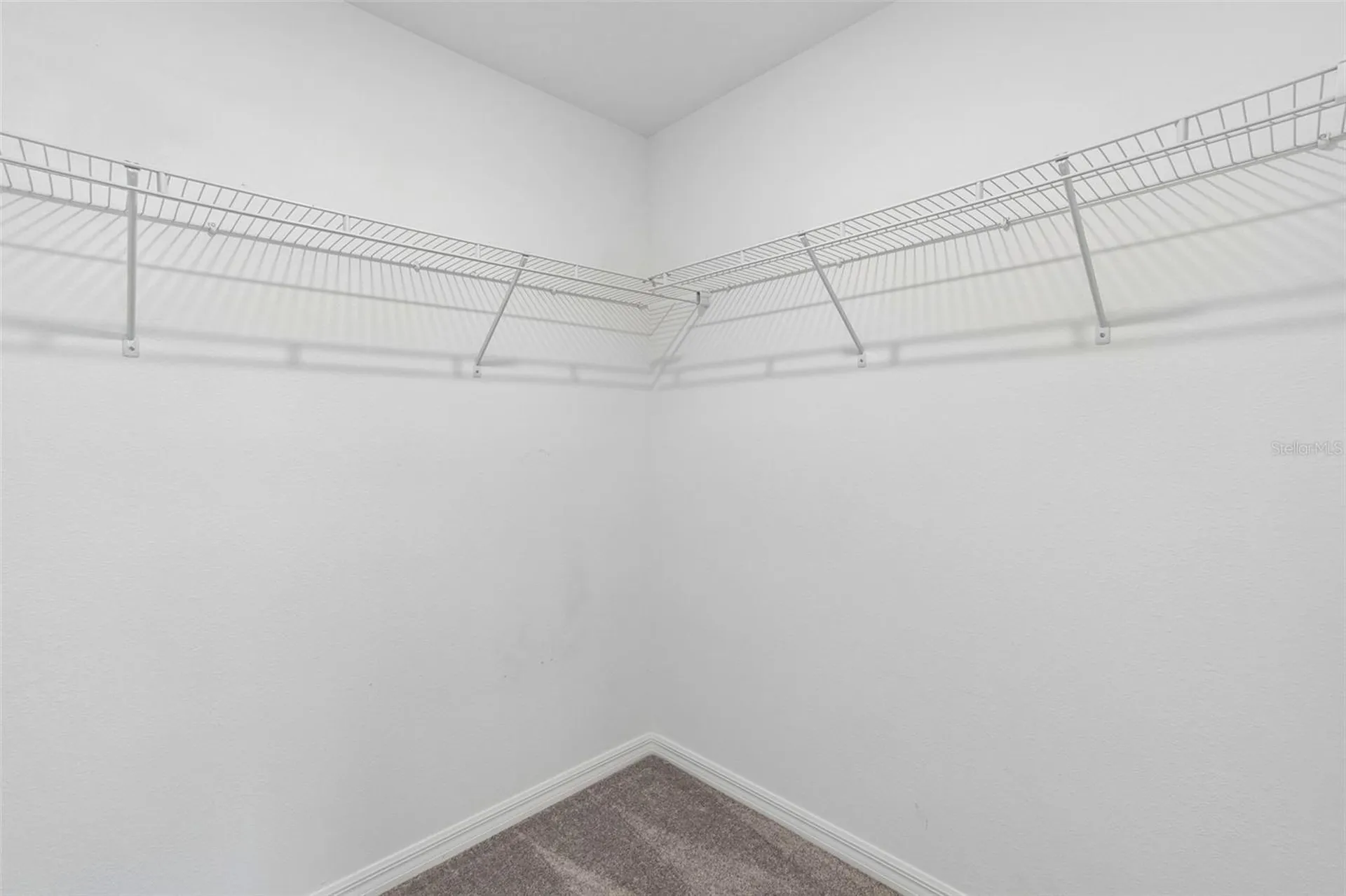 4436 Tuscan Loon Drive Tampa FL 33619