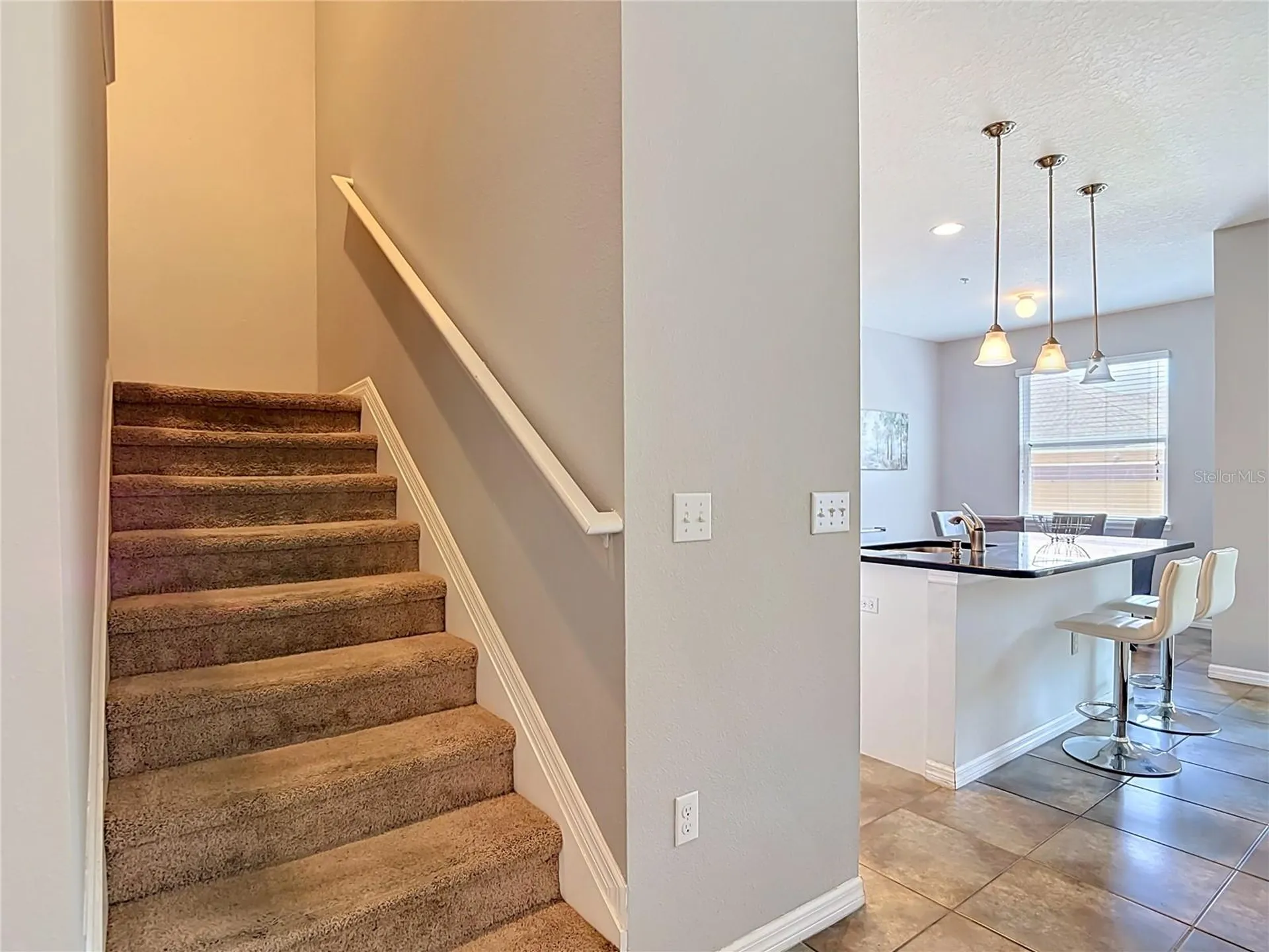8615 Andalucia Field Drive Tampa FL 33637