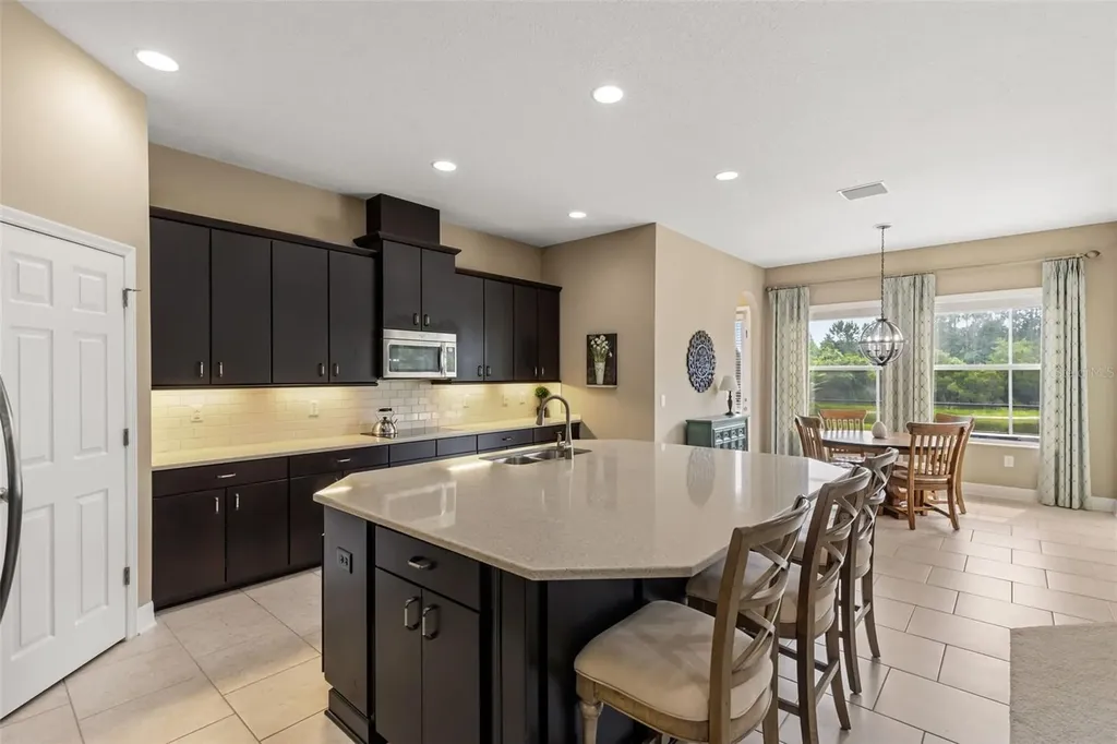 32074 Pinfeld Drive Wesley Chapel FL 33543