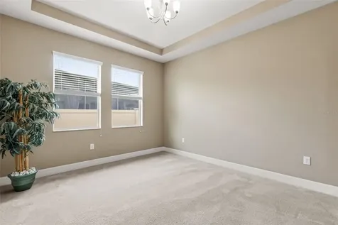 32074 Pinfeld Drive Wesley Chapel FL 33543