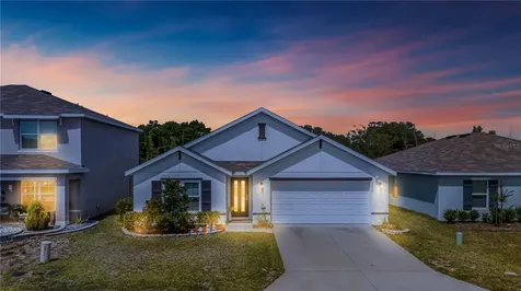 8669 Triumph Circle Wildwood FL 34785