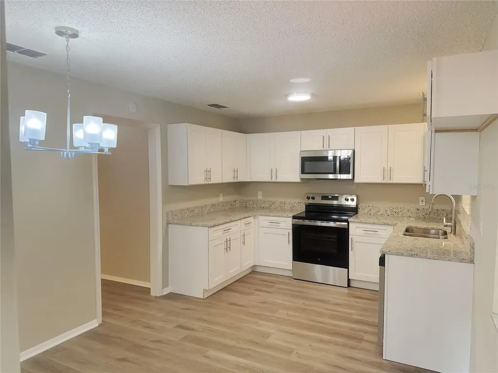 11345 SE 188th Avenue Ocklawaha FL 32179