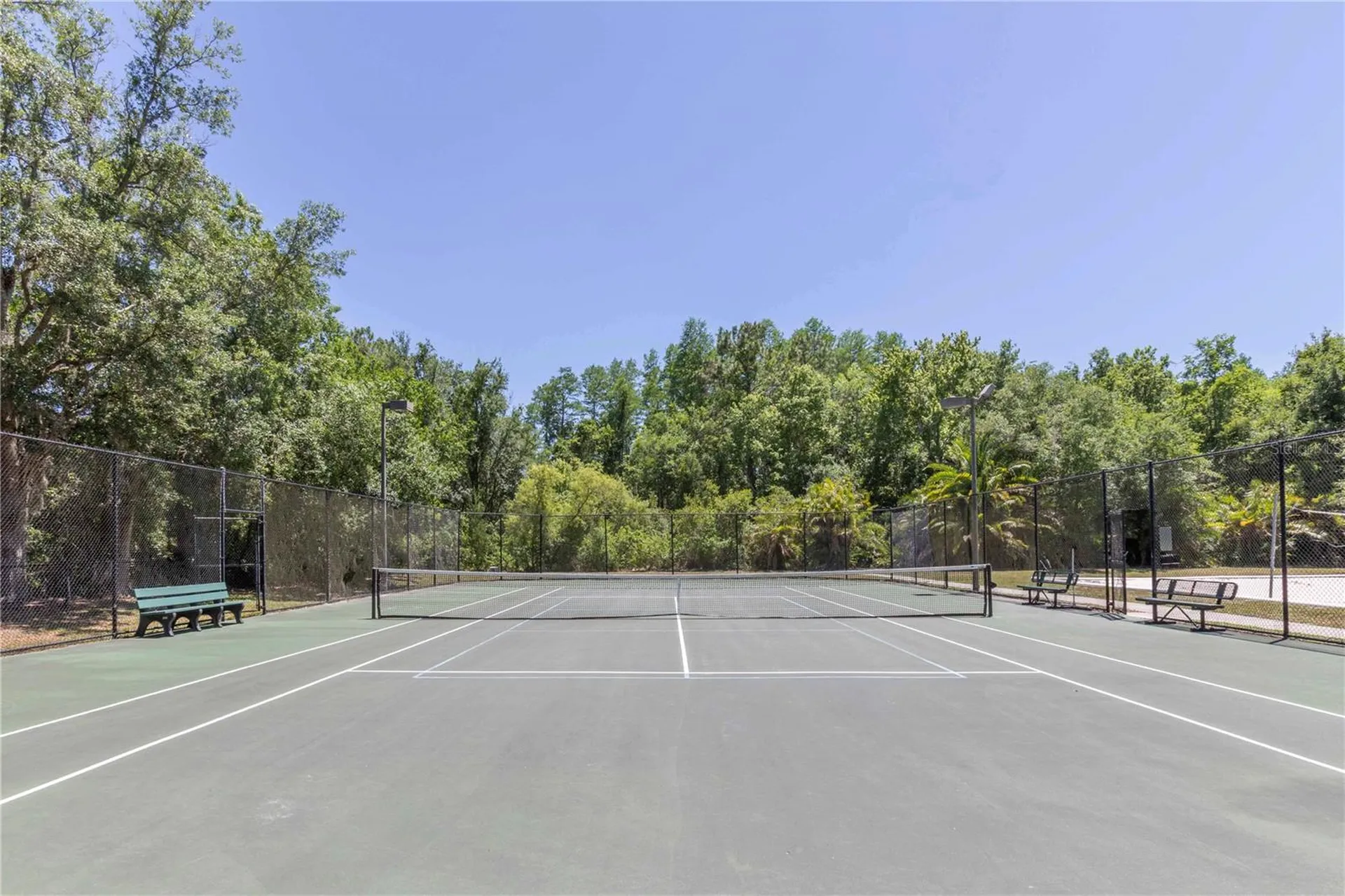 15141 Azra Drive Odessa FL 33556