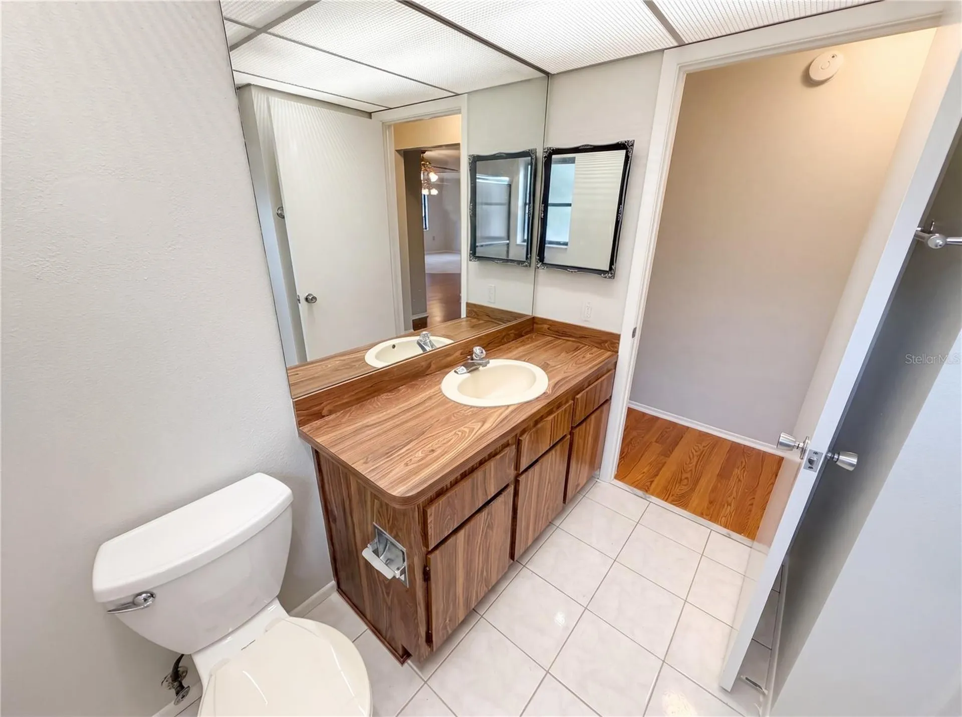3413 Snowy Egret Court Palm Harbor FL 34683