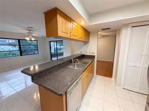 3413 Snowy Egret Court Palm Harbor FL 34683