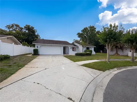 3413 Snowy Egret Court Palm Harbor FL 34683