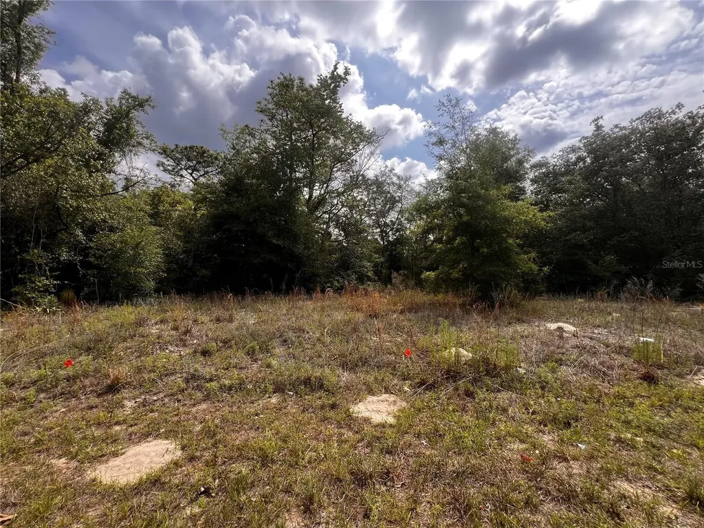 7095 N Foxdale Drive Citrus Springs FL 34434