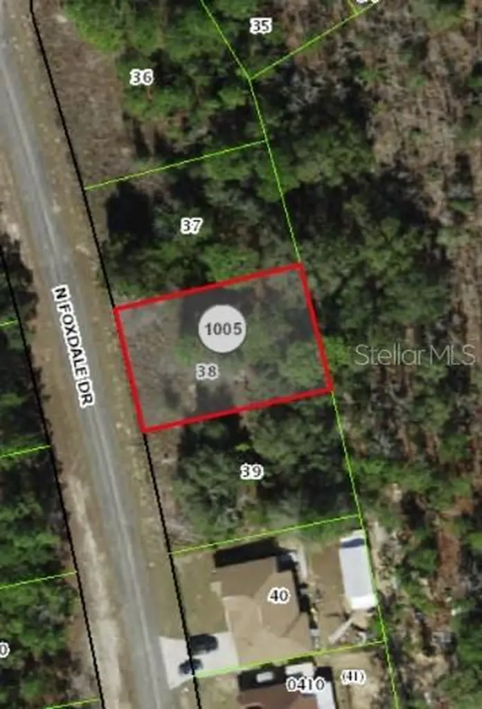 7095 N Foxdale Drive Citrus Springs FL 34434