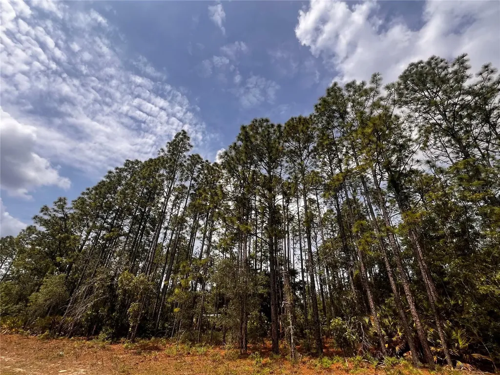 7095 N Foxdale Drive Citrus Springs FL 34434