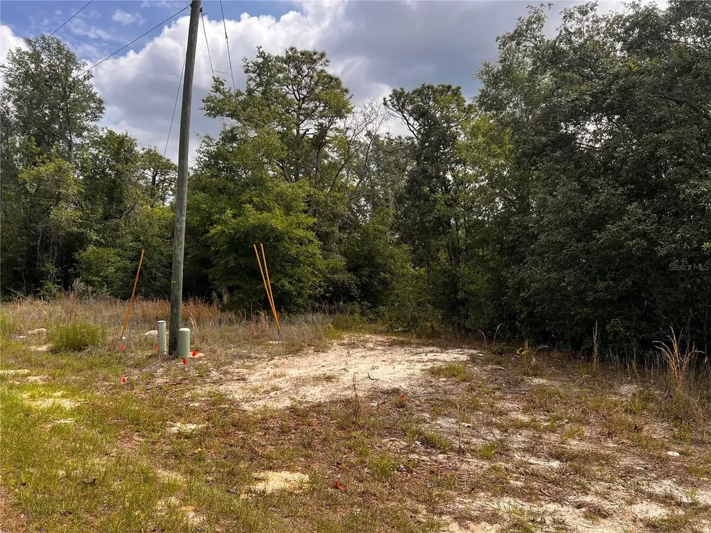 7095 N Foxdale Drive Citrus Springs FL 34434