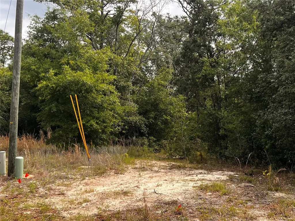 7095 N Foxdale Drive Citrus Springs FL 34434