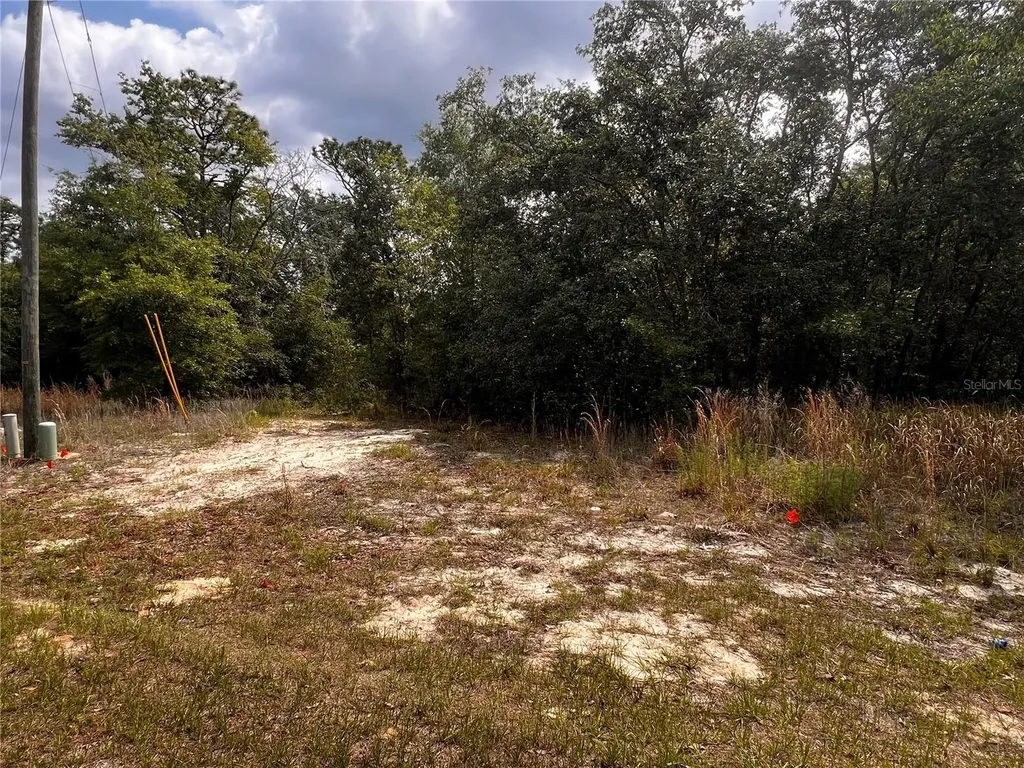7095 N Foxdale Drive Citrus Springs FL 34434