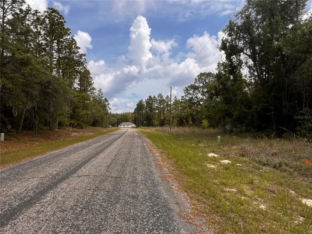 7095 N Foxdale Drive Citrus Springs FL 34434