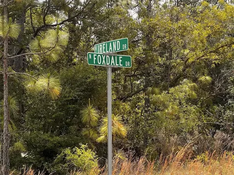 7095 N Foxdale Drive Citrus Springs FL 34434