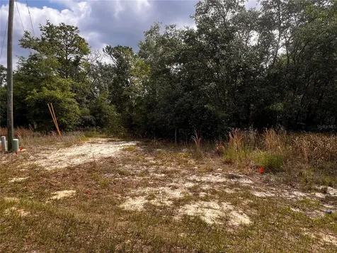 7095 N Foxdale Drive Citrus Springs FL 34434