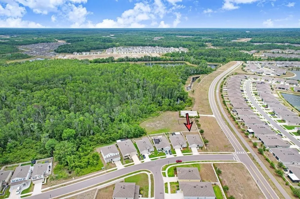 10677 Gliding Eagle Way Land O Lakes FL 34638