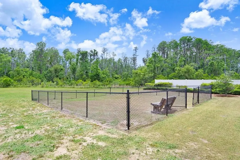 10677 Gliding Eagle Way Land O Lakes FL 34638