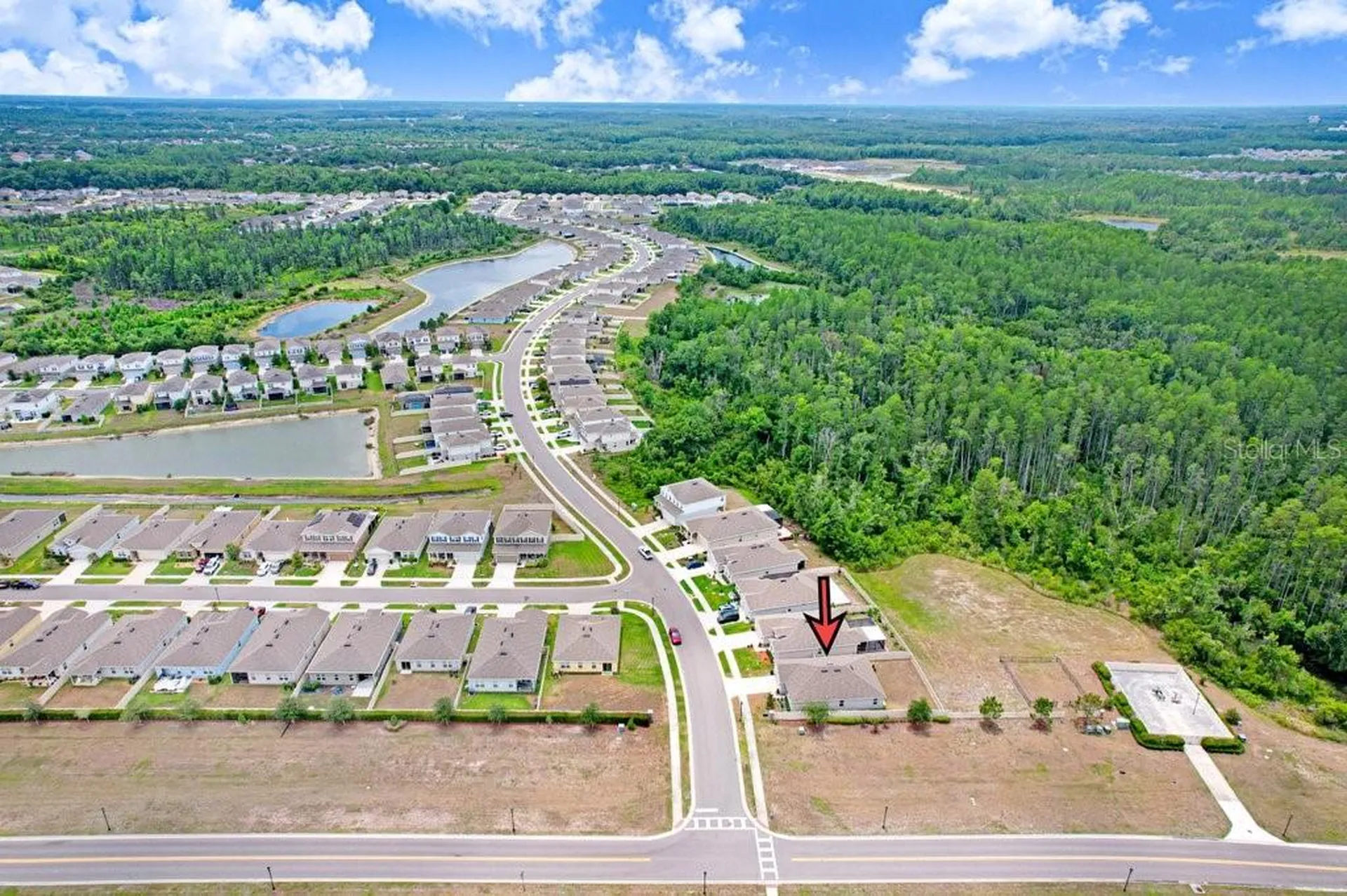 10677 Gliding Eagle Way Land O Lakes FL 34638
