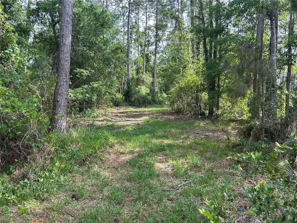 2585 Vista Park Drive Deland FL 32724