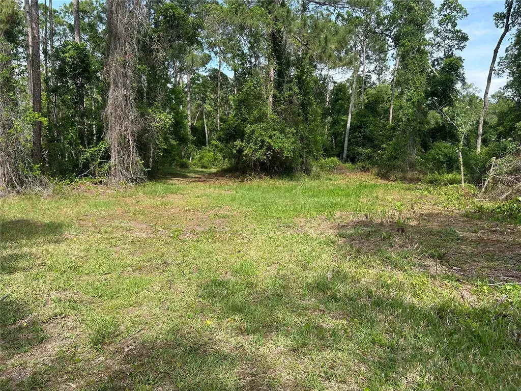 2585 Vista Park Drive Deland FL 32724