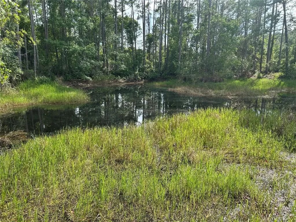 2585 Vista Park Drive Deland FL 32724