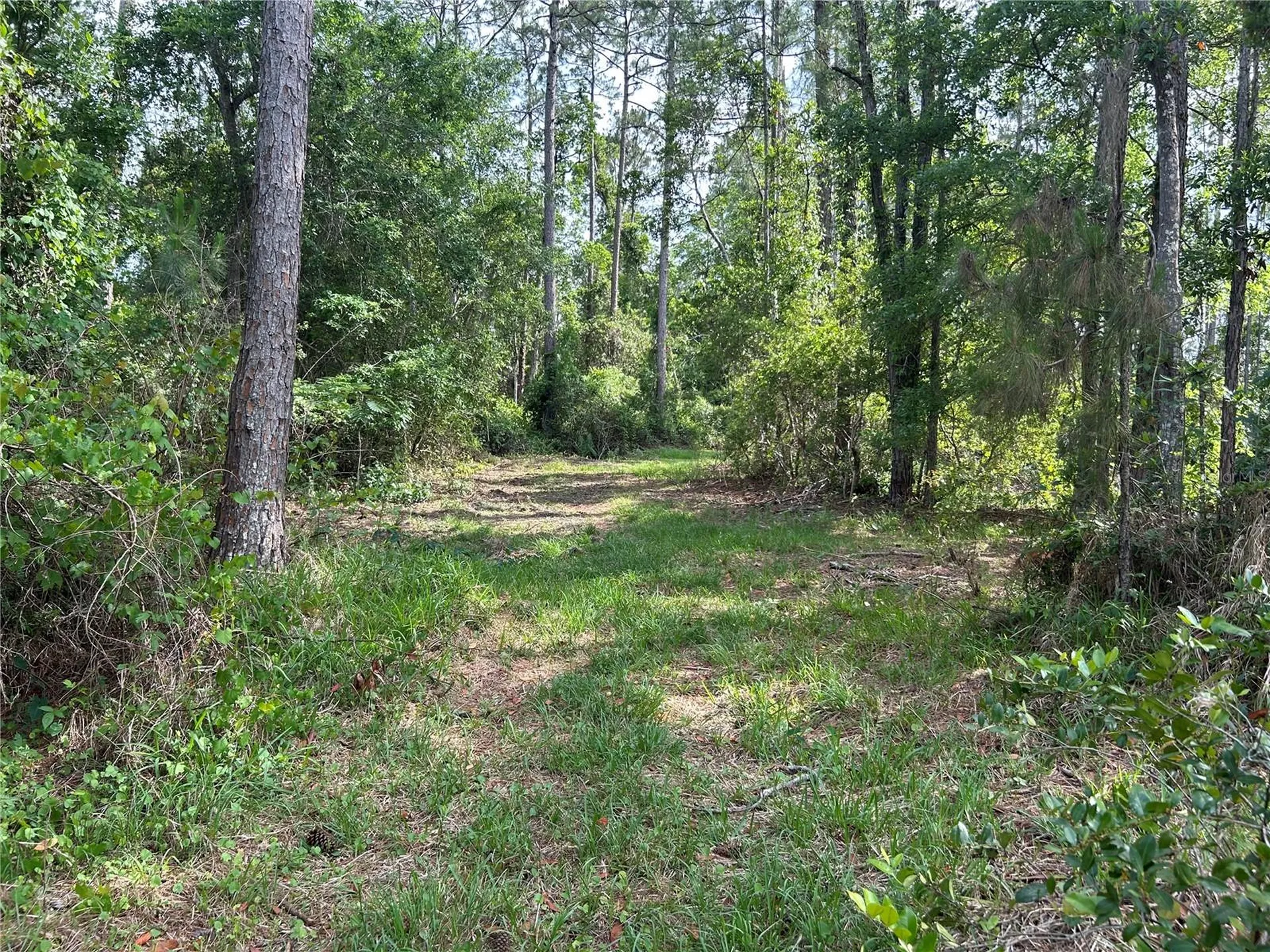 2585 Vista Park Drive Deland FL 32724