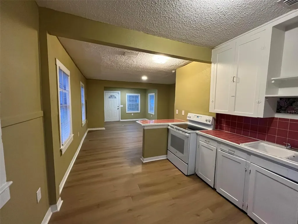 2013 Oceanview Place Tampa FL 33605
