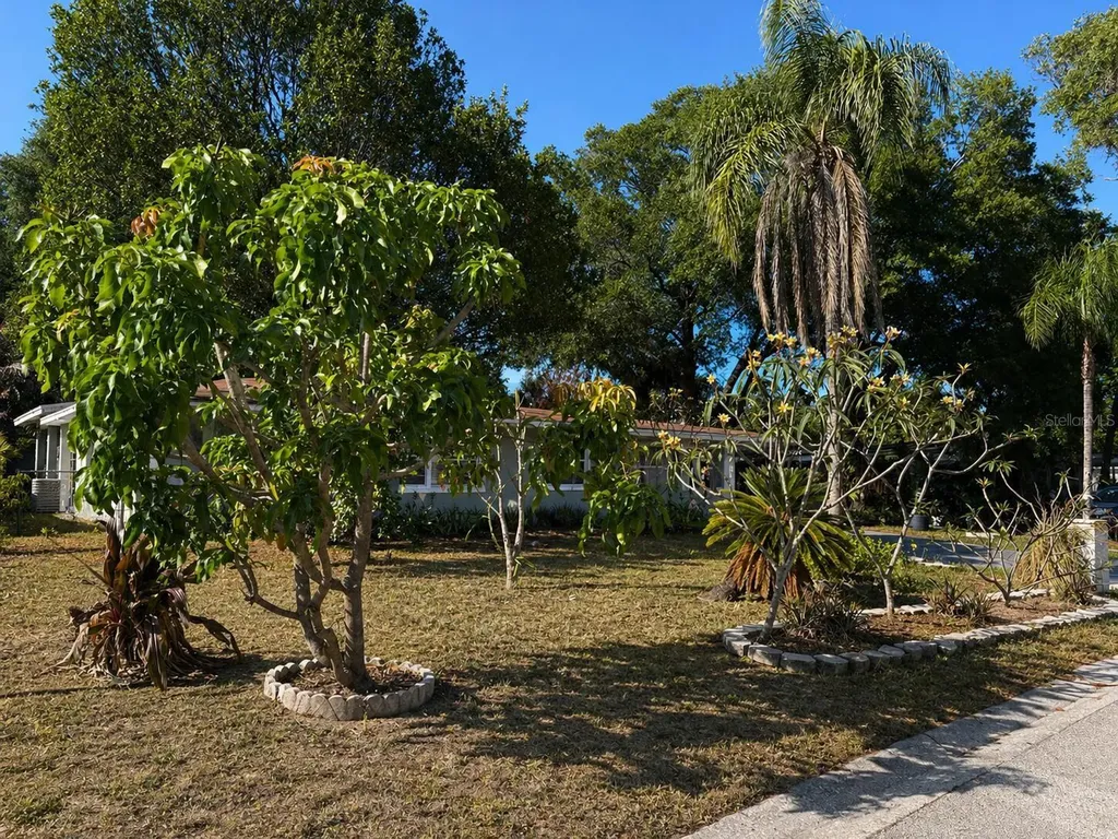 8618 Grandview Drive Tampa FL 33617