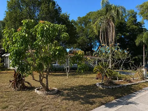 8618 Grandview Drive Tampa FL 33617