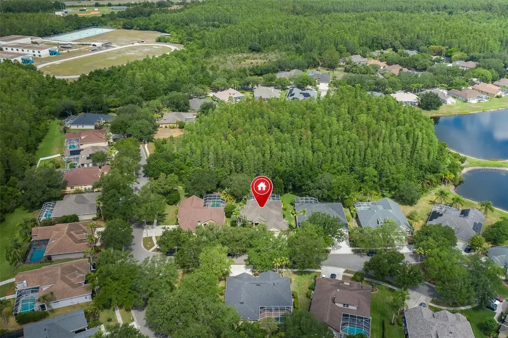 19204 Pristine Place Lutz FL 33558