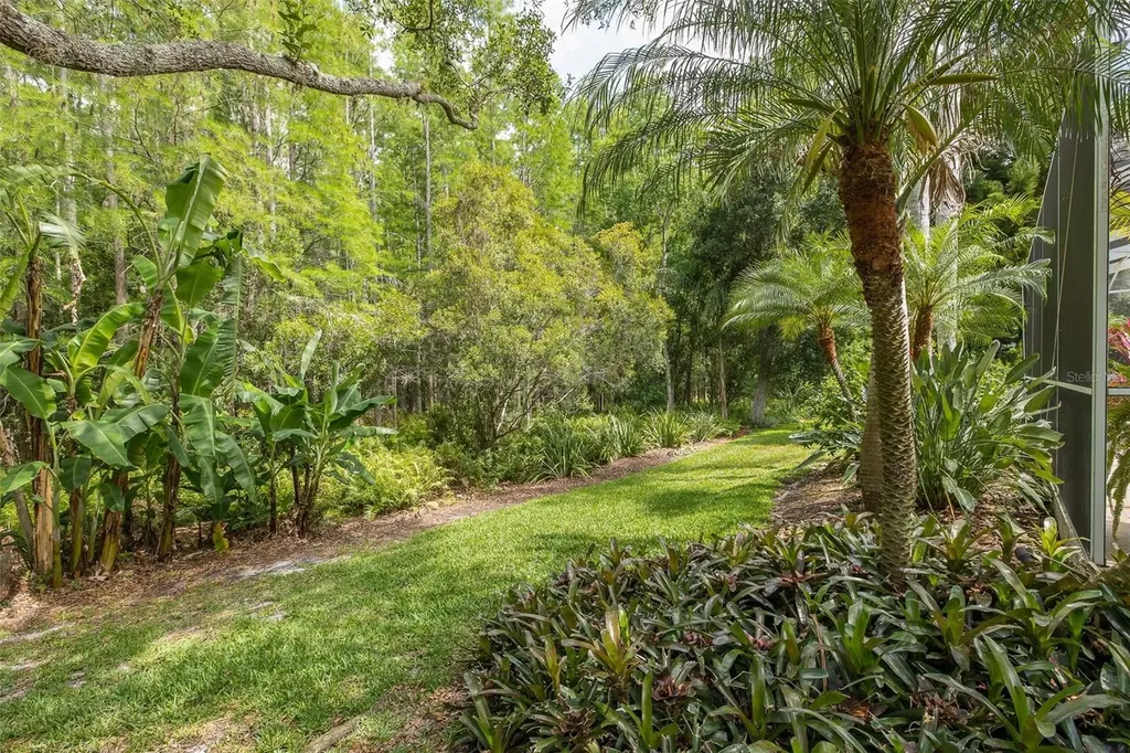 19204 Pristine Place Lutz FL 33558
