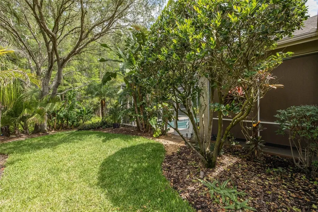 19204 Pristine Place Lutz FL 33558