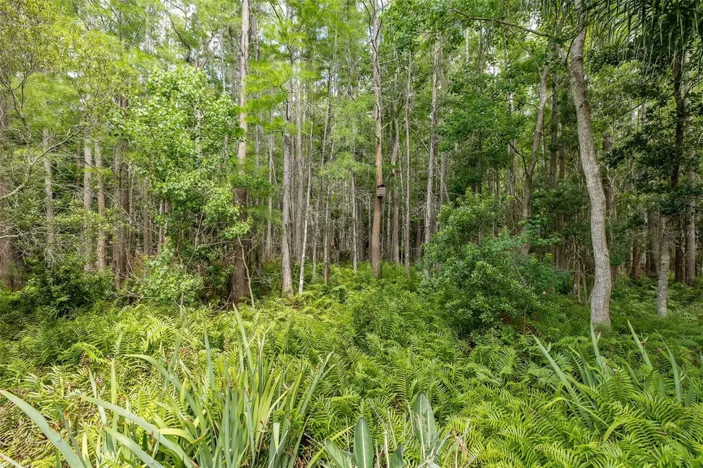 19204 Pristine Place Lutz FL 33558