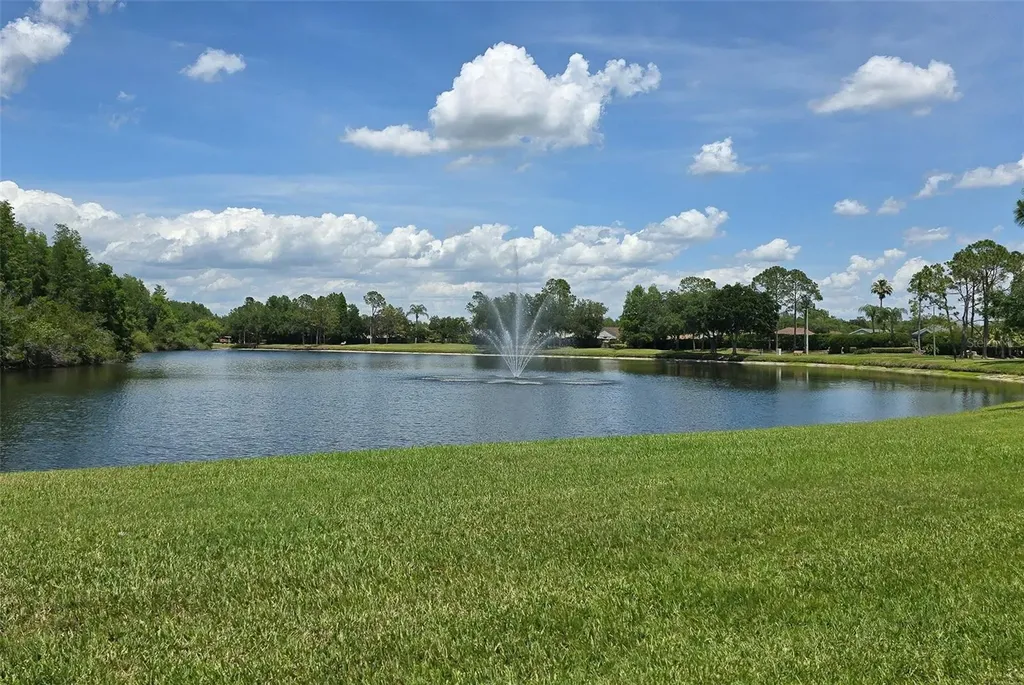 19204 Pristine Place Lutz FL 33558