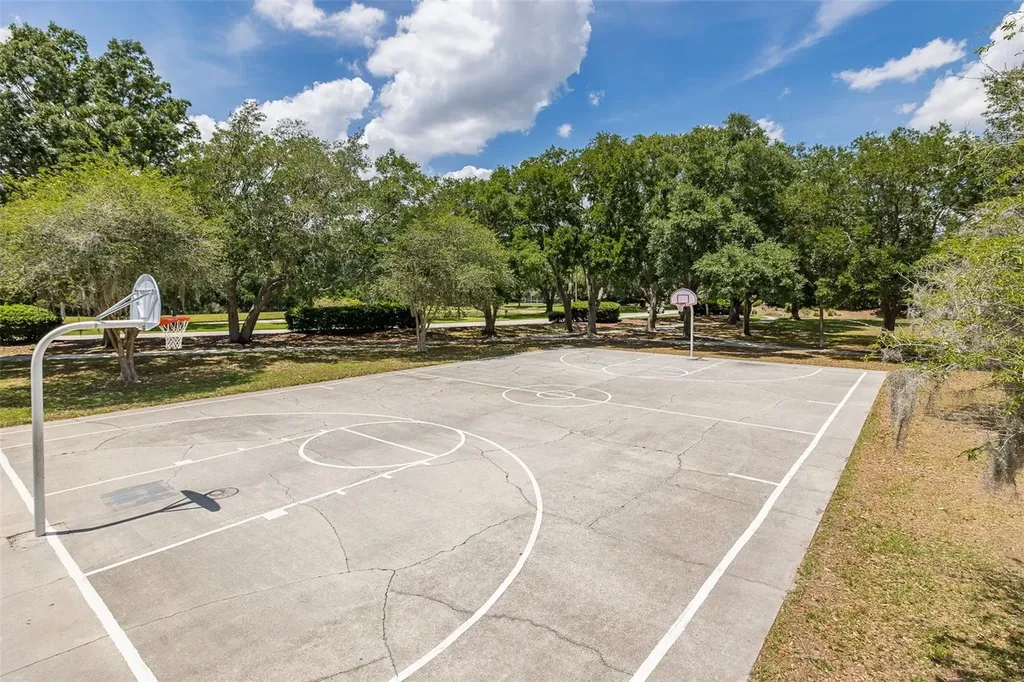 19204 Pristine Place Lutz FL 33558