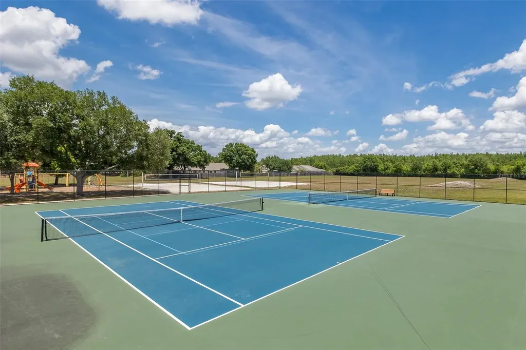 19204 Pristine Place Lutz FL 33558