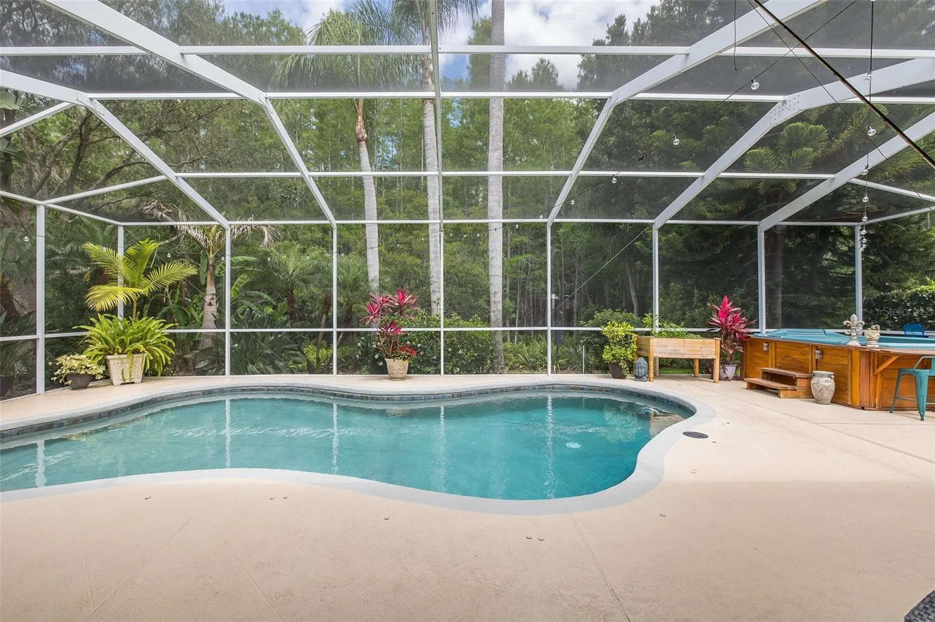 19204 Pristine Place Lutz FL 33558