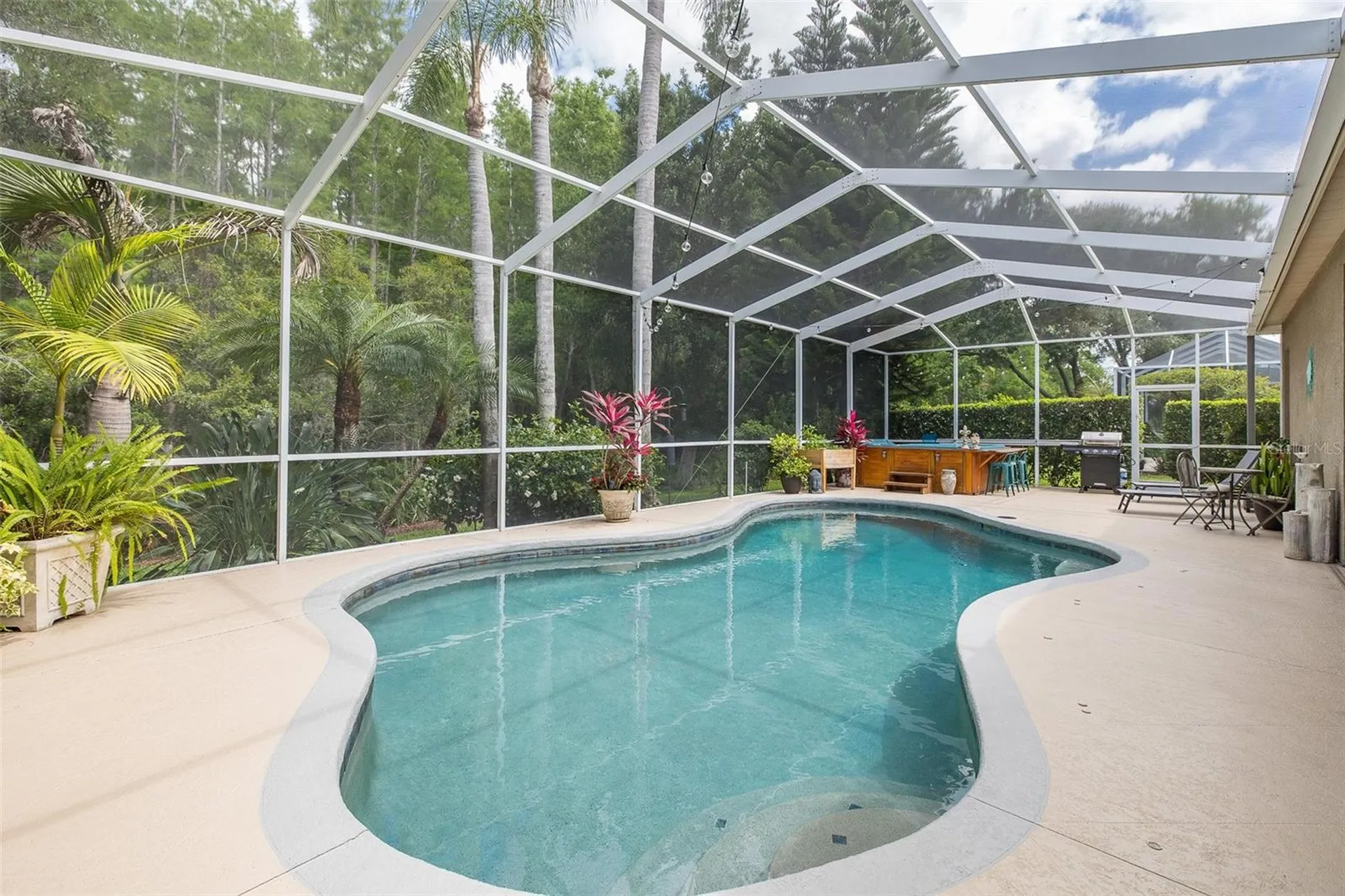 19204 Pristine Place Lutz FL 33558
