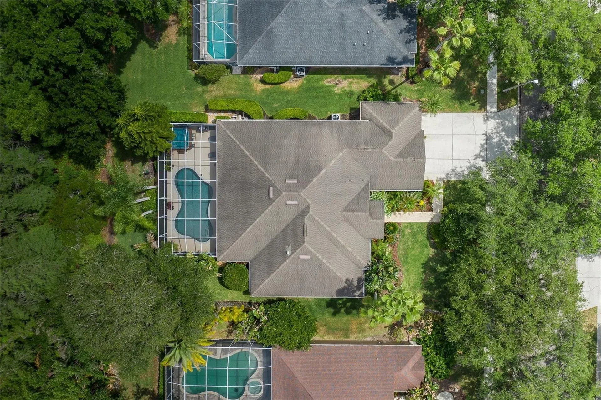 19204 Pristine Place Lutz FL 33558