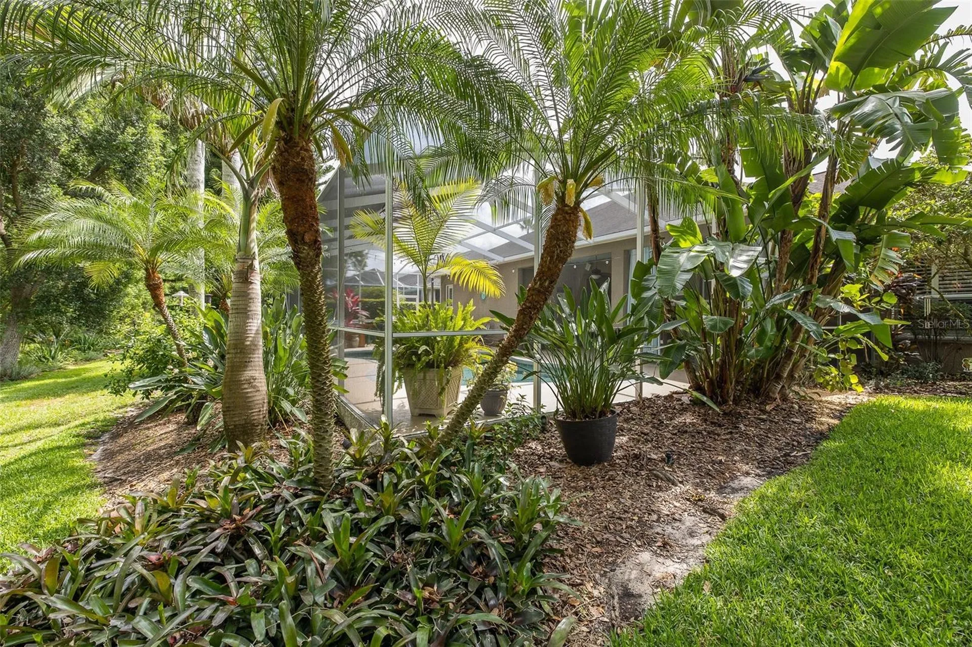19204 Pristine Place Lutz FL 33558