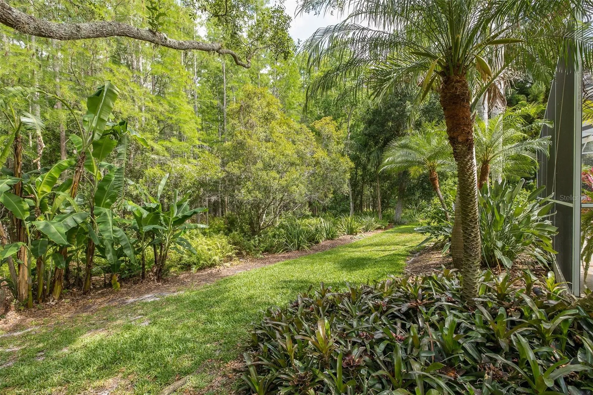 19204 Pristine Place Lutz FL 33558