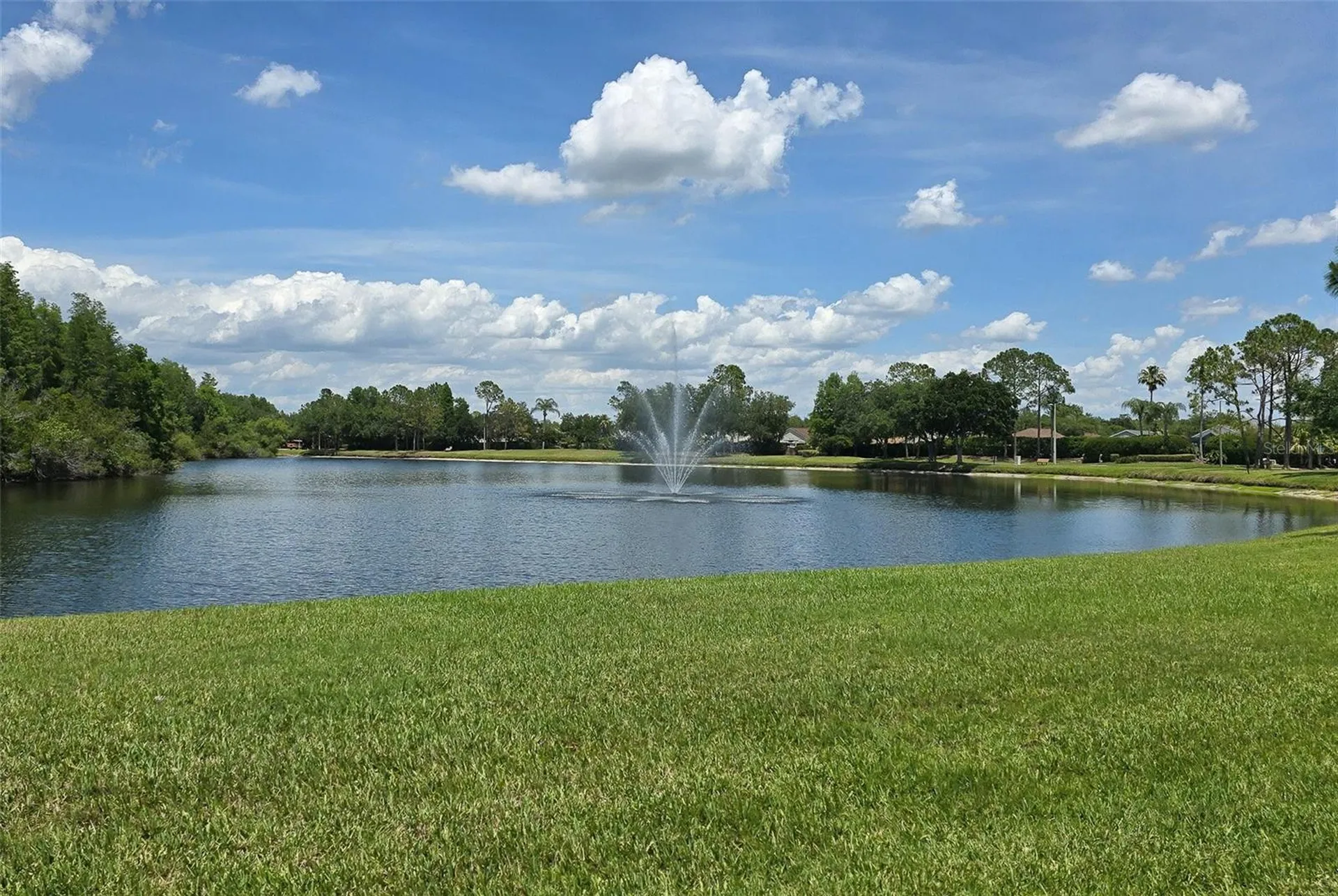 19204 Pristine Place Lutz FL 33558