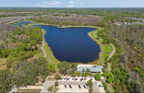 13720 Stevenson Lane Odessa FL 33556