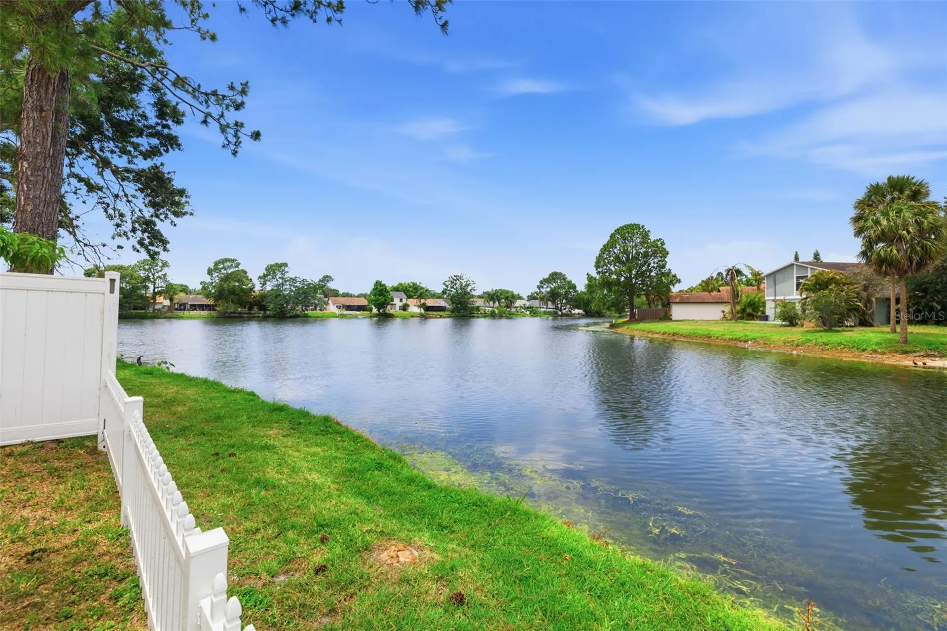 10315 Chadbourne Drive Tampa FL 33624