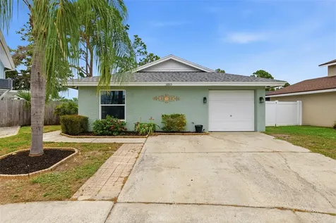 10315 Chadbourne Drive Tampa FL 33624