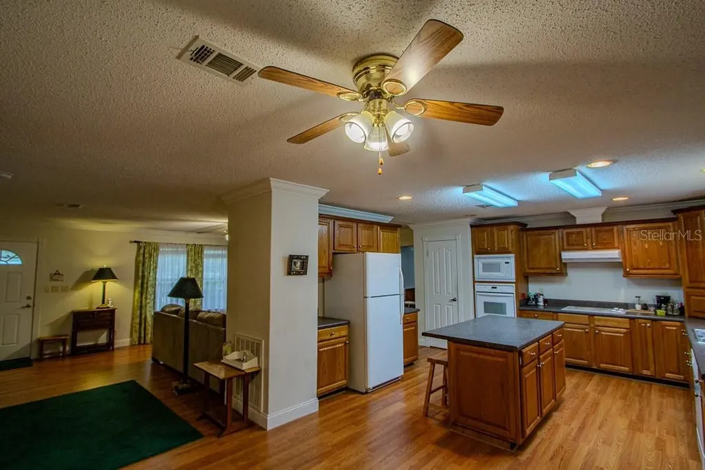 141 SE Maid Marion Lane High Springs FL 32643