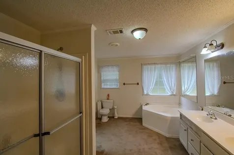 141 SE Maid Marion Lane High Springs FL 32643
